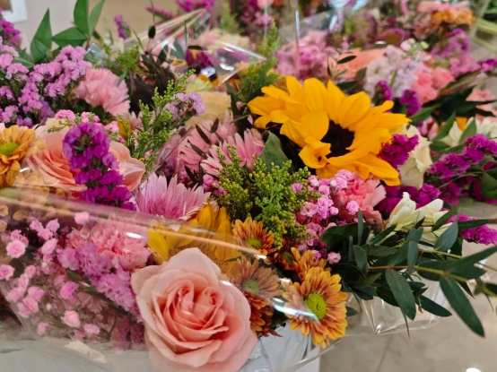 春日绽芳华 情暖女神节‍